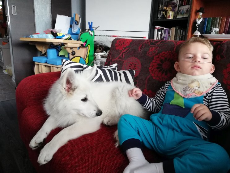 Malý Gabko so svojim psím kamarátom