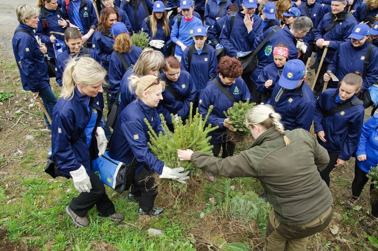 CSR tim v Lidl Lese vysadil uz 500 000 stromcekov